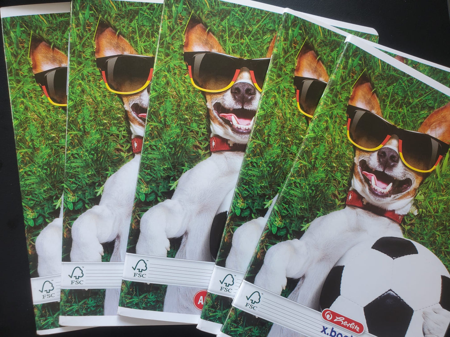 Caiet A5, 48 file, HERLITZ Cool Dog